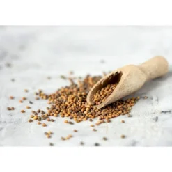 Organic Arugula Sprouting Seeds - By Food To Live -Lipton Sale Store GUEST 0c1f64b2 29a6 45b6 8867 40311b45f522