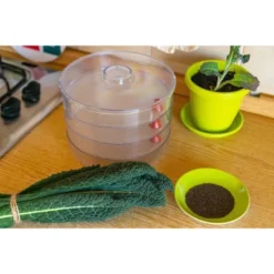 Kale Seeds For Sprouting - By Food To Live -Lipton Sale Store GUEST 0e13ed5a 6958 4b83 bde0 d13296b9149b