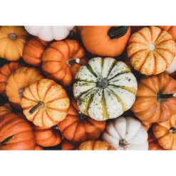 Organic Dry Roasted Pumpkin Seeds In Shell With Himalayan Salt - By Food To Live -Lipton Sale Store GUEST 29b222ea 13d0 41a2 ab02 b1270fff78cd