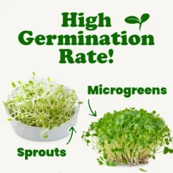 Organic Clover Sprouting Seeds - By Food To Live -Lipton Sale Store GUEST 48ab798b 7256 4954 af6a b45f2e405bc9