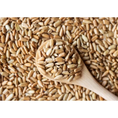 Dry Roasted Sunflower Seed Kernels With Himalayan Salt - By Food To Live 4 Dry Roasted Sunflower Seed Kernels With Himalayan Salt - By Food To Live - Image 4