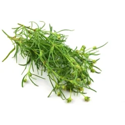 Organic Whole Psyllium Seeds - By Food To Live -Lipton Sale Store GUEST 710a67d5 1ada 4bc2 89d4 8f3812438288