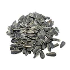 Hill's 12 Oz Full Salt Sunflower Seeds - Pack Of 3 -Lipton Sale Store GUEST 71fedeca 6c10 4ee3 b902 a9e0f6dad40f 1