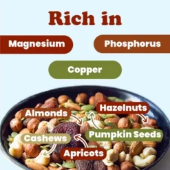 Organic Active Life Trail Mix — Raw And Non-GMO Snack Mix Contains Cashews, Pumpkin Seeds, Apricots, Hazelnuts, Almonds. Vegan, Kosher, Bulk -Lipton Sale Store GUEST 73ffeec3 d5ab 421c 8b66 3a021364245d