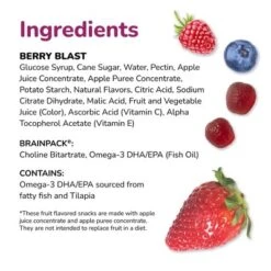 Brainiac Kids Fruit Snacks With Omega-3s Berry Blast - 12.4oz/20ct -Lipton Sale Store GUEST 838ac3a8 2520 4912 bef6 9521f277e748