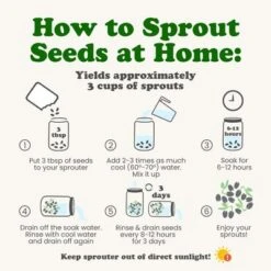 Organic Clover Sprouting Seeds - By Food To Live -Lipton Sale Store GUEST 993aa4fb 409b 400c 84c0 16540b82d495