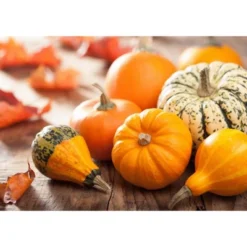 Organic Raw Pumpkin Seeds In Shell - By Food To Live -Lipton Sale Store GUEST c5a4e848 6a4c 4df7 bf7d 203e3ed228c2