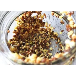 Organic Arugula Sprouting Seeds - By Food To Live -Lipton Sale Store GUEST d80d3ce8 a456 4a0a b4b0 957784ca9b10
