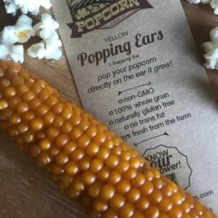 Free Day Popping Ear Non-GMO Yellow Un-Popped Popcorn - Pack Of 6 - Popcorn On The Cob 15 Free Day Popping Ear Non-GMO Yellow Un-Popped Popcorn - Pack Of 6 - Popcorn On The Cob -Lipton Sale Store GUEST f5766cb5 e56e 458a 846d d489e8b10bc6